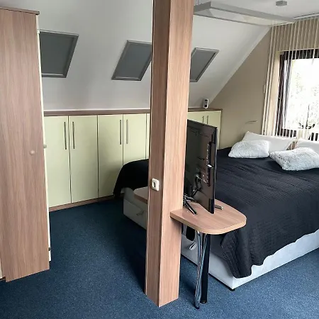 Geyer * 格雷芬海尼兴