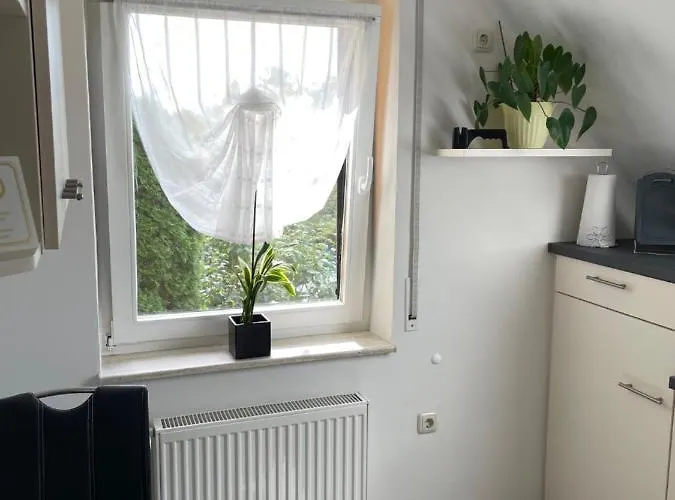 Geyer * Grafenhainichen